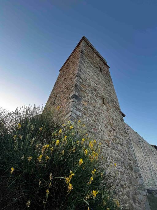 Medieval Tower In Umbria With Swimming Pool Montelagello Ngoại thất bức ảnh